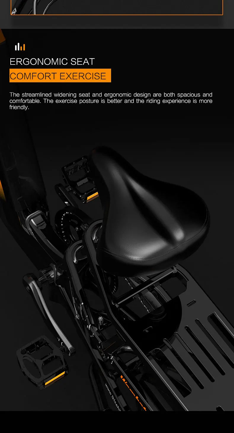 Lankeleisi Wombat-1 1000W E Cargo Bike – The Ultimate All-Terrain Electric Bike