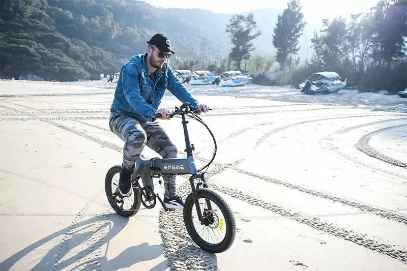 Engwe LE20 250W Electric Cargo Bike | Dual Battery 38.4Ah