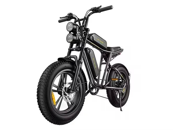 ENGWE M20–High-Speed Electric Bike for Urban&Off-Road Adventures 100W Powerful Motor 48V26AH Dual Battery Electric Bicycle