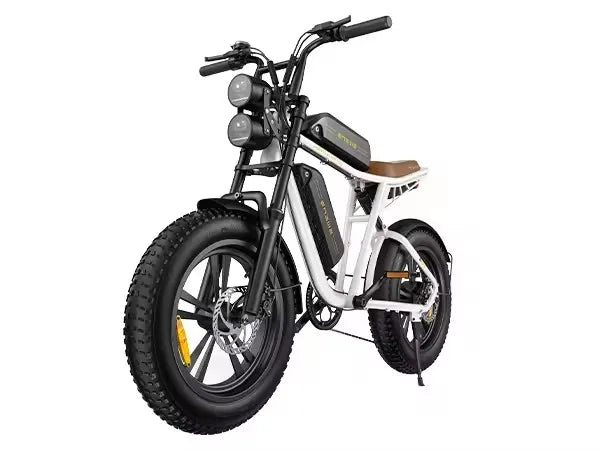 ENGWE M20–High-Speed Electric Bike for Urban&Off-Road Adventures 100W Powerful Motor 48V26AH Dual Battery Electric Bicycle