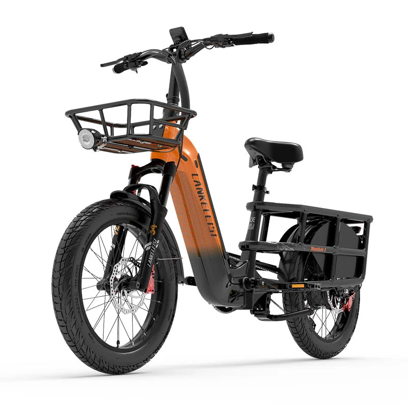 1000W E Cargo Bike