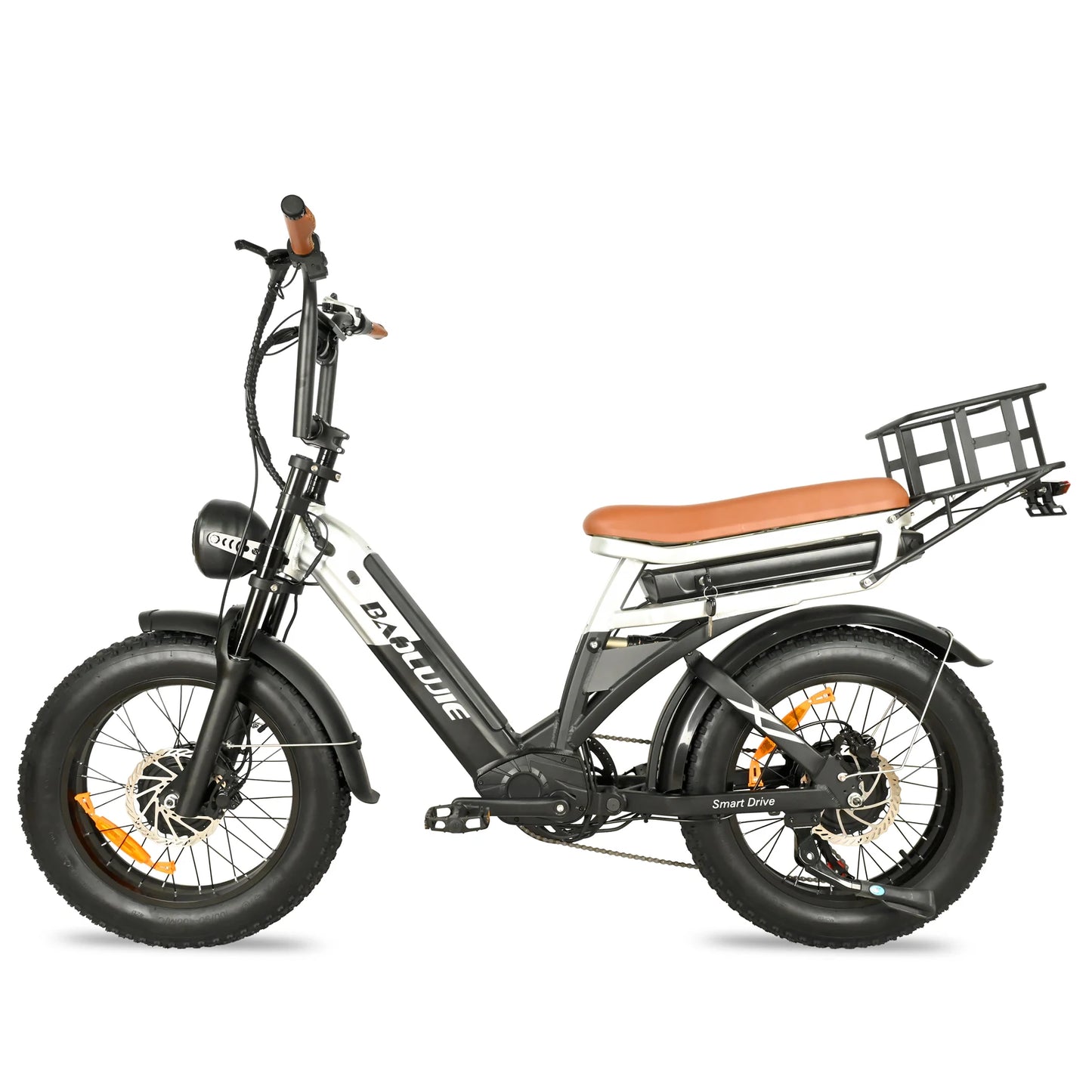 2000W Cargo Electric Bike for Adults | Long Range Dual Battery E-Bike