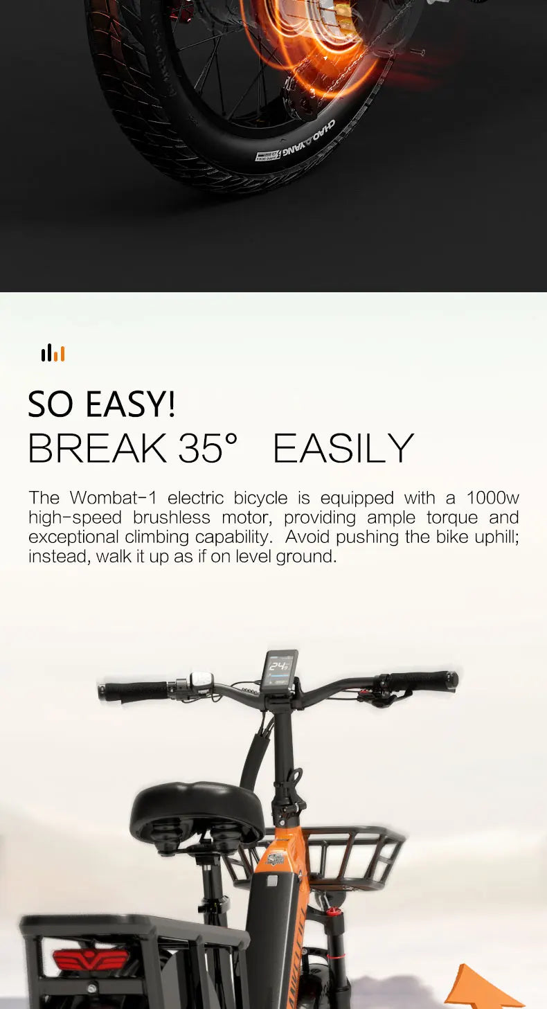 Lankeleisi Wombat-1 1000W E Cargo Bike – The Ultimate All-Terrain Electric Bike