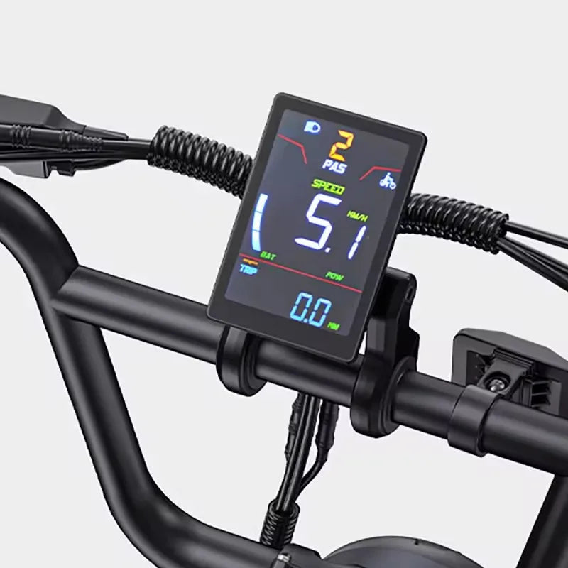 ENGWE M1 Adult Electric Bicycle 250W 48V Dual Battery