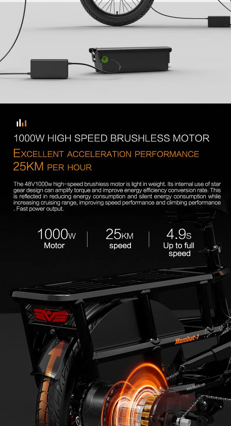 Lankeleisi Wombat-1 1000W E Cargo Bike – The Ultimate All-Terrain Electric Bike