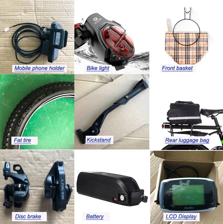 BLJ 2000W Dual Motor Electric Bike for Adults | Free Shipping