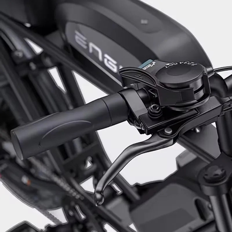 ENGWE M1 Adult Electric Bicycle 250W 48V Dual Battery