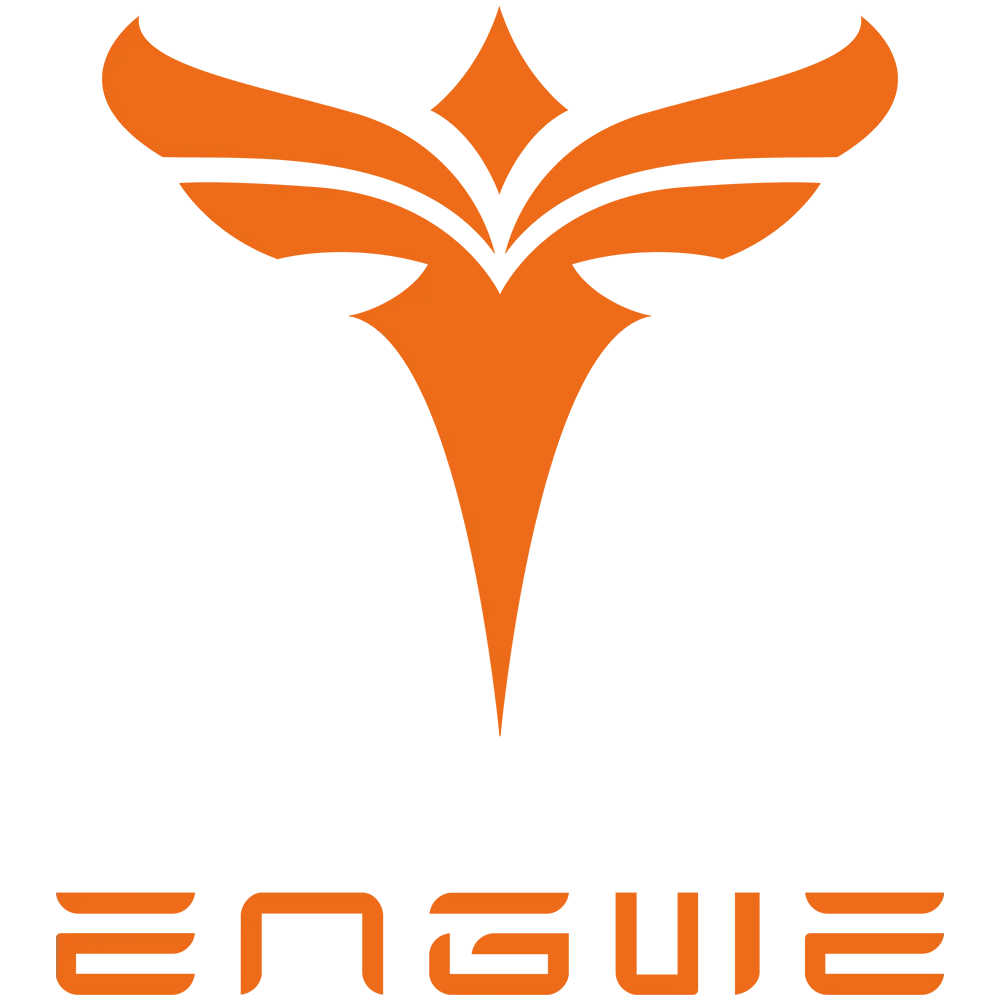 Engwe LE20 250W Electric Cargo Bike | Dual Battery 38.4Ah