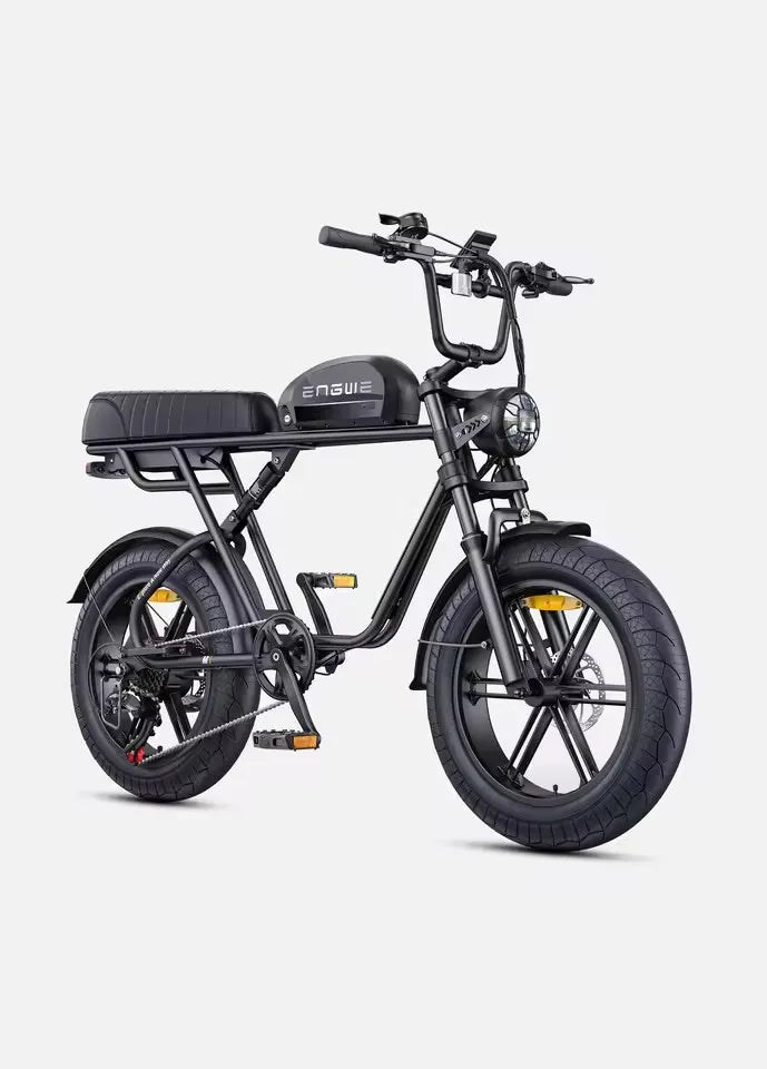 ENGWE M1 Adult Electric Bicycle 250W 48V Dual Battery