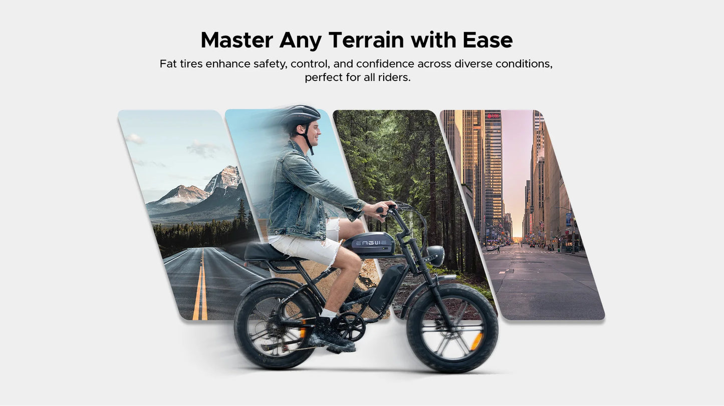 ENGWE M1 Adult Electric Bicycle 250W 48V Dual Battery