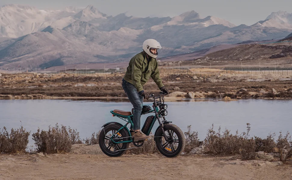 ENGWE M20–High-Speed Electric Bike for Urban&Off-Road Adventures 100W Powerful Motor 48V26AH Dual Battery Electric Bicycle