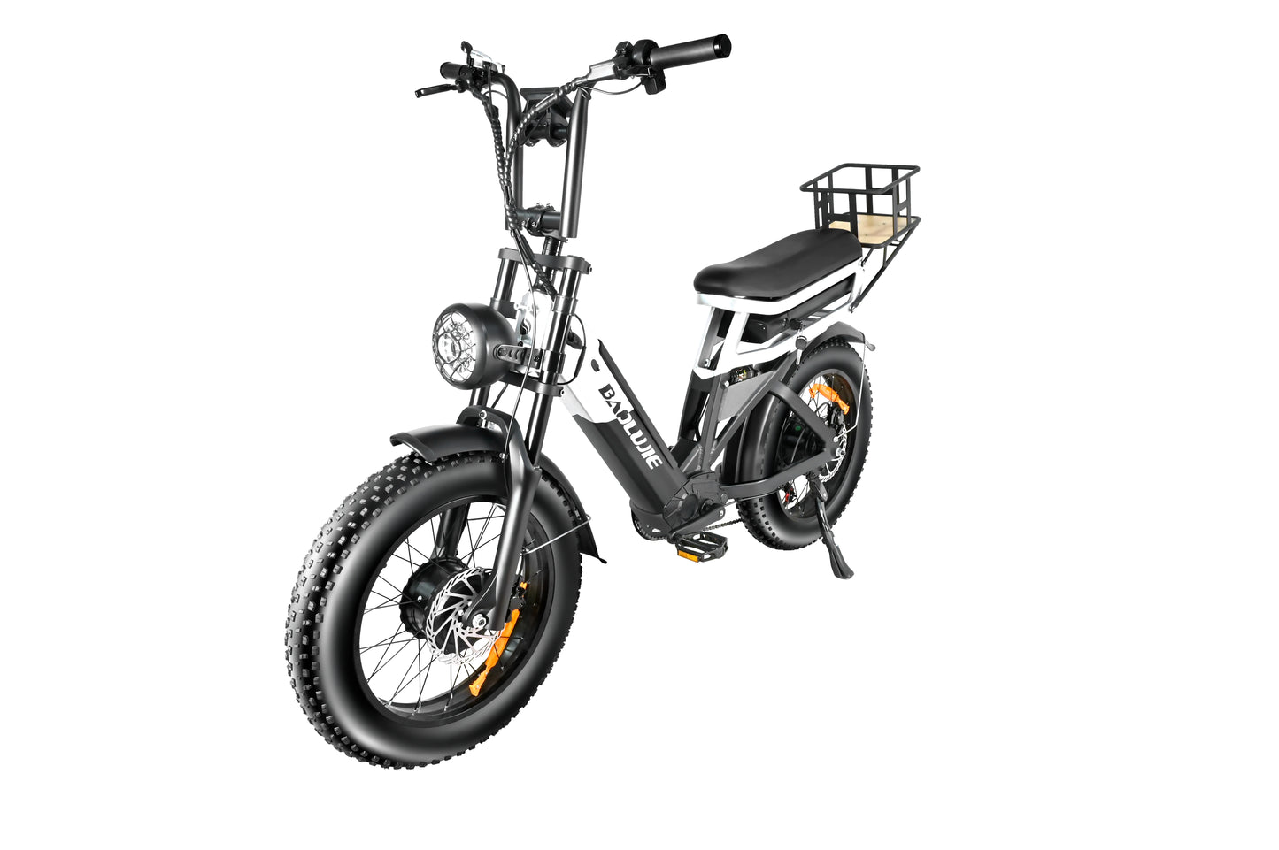 2000W Cargo Electric Bike for Adults | Long Range Dual Battery E-Bike