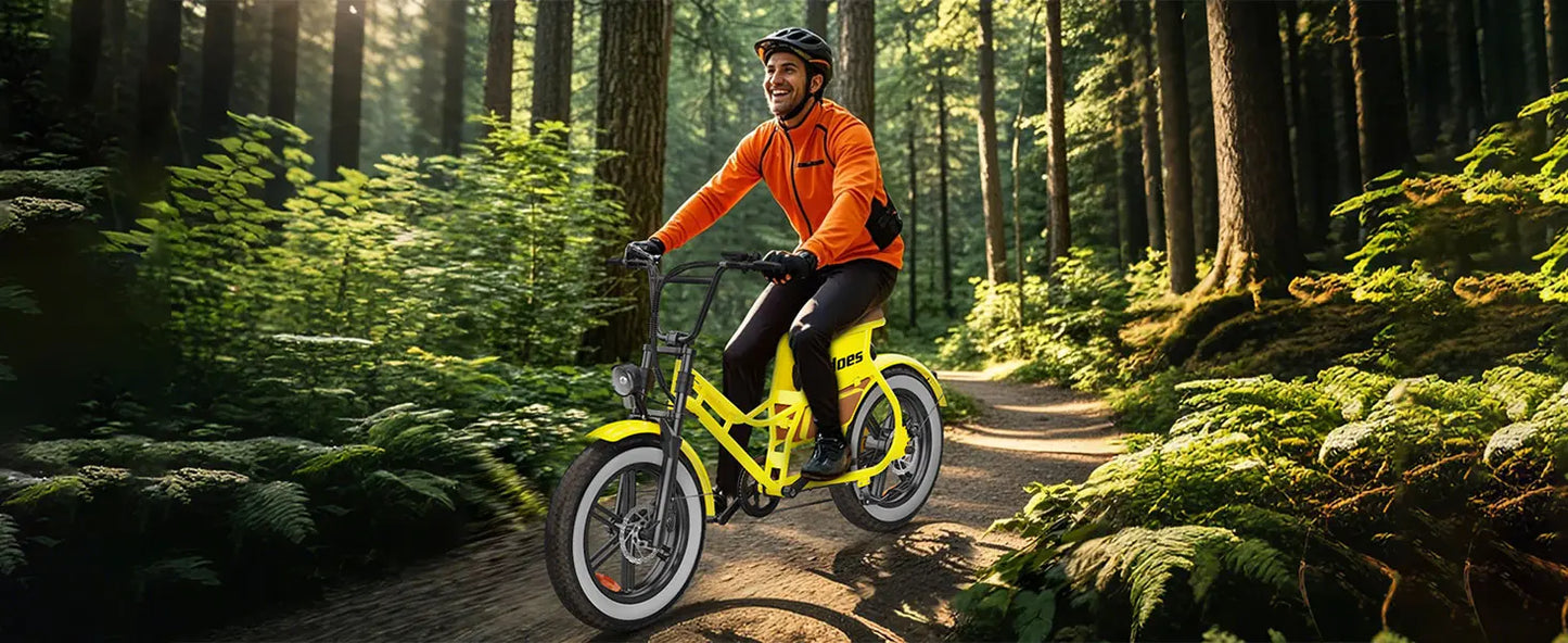 Hidoes C8 700W Adult Electric Bike – 25MPH, 55+ Mile Range