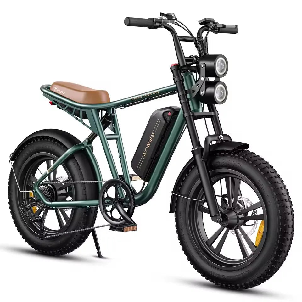 ENGWE M20–High-Speed Electric Bike for Urban&Off-Road Adventures 100W Powerful Motor 48V26AH Dual Battery Electric Bicycle