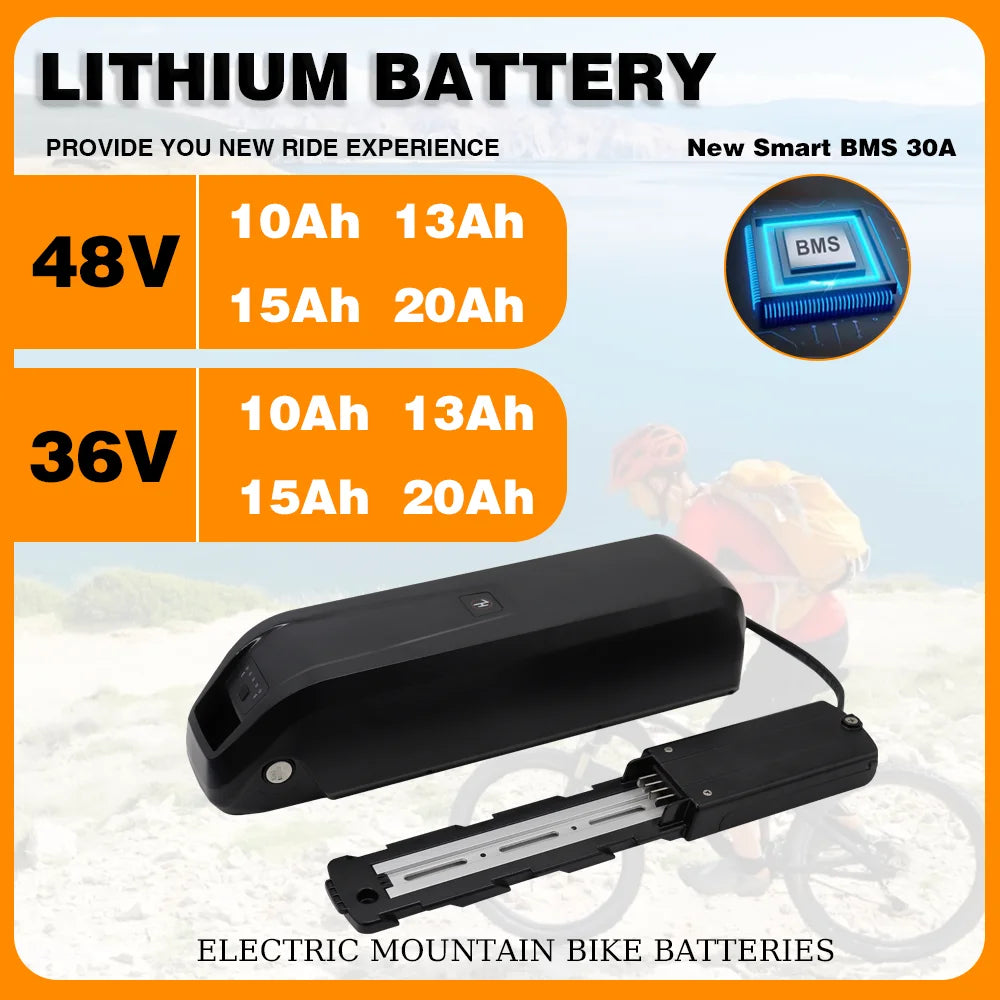 36V 48V 15Ah 20Ah Hailong Li-ion EBike Battery for 1000W 750W 500W