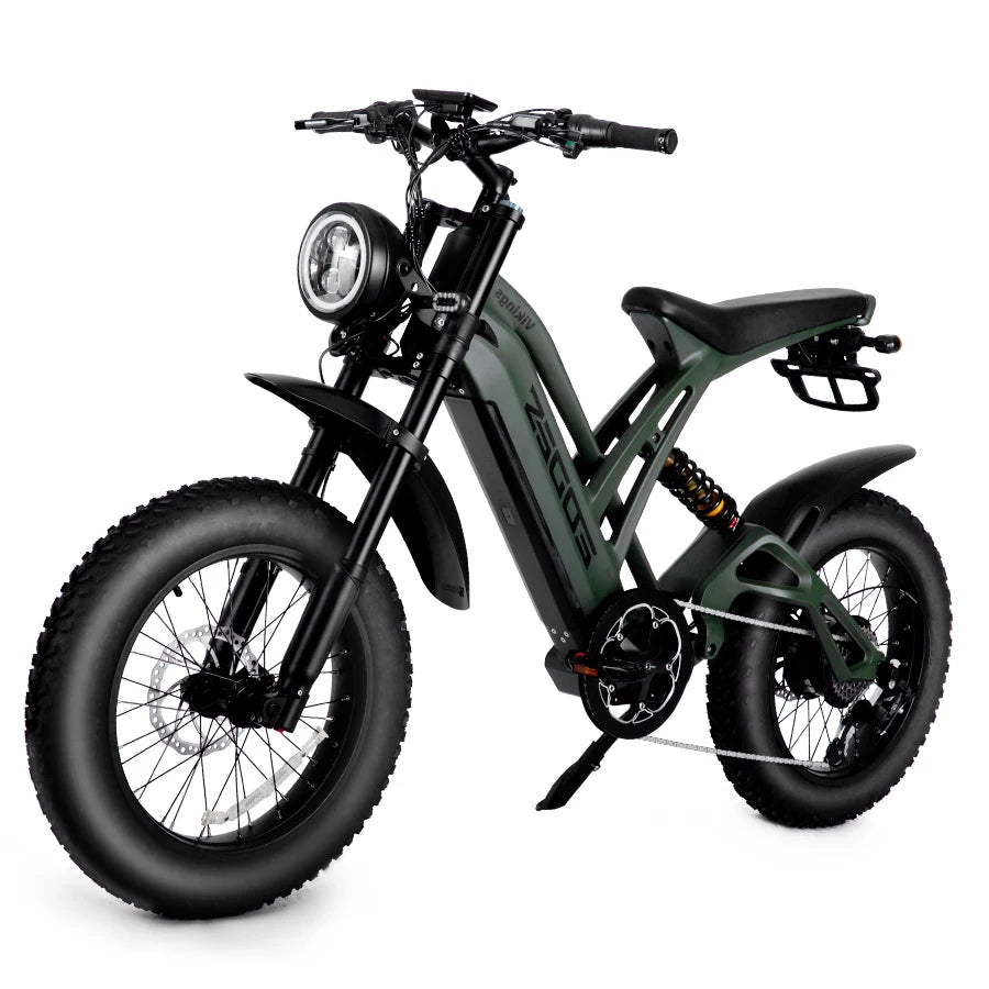 1000W Mountain Adult Electric Bike | Dual Disc Off-Road Power