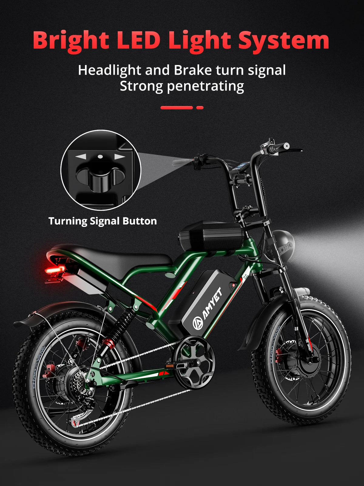 Electric Bike 2000W Dual Motor