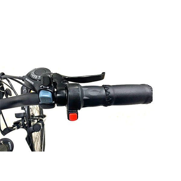 Retro 700C Women's Electric City Bike | Step-Through Urban E-Bike