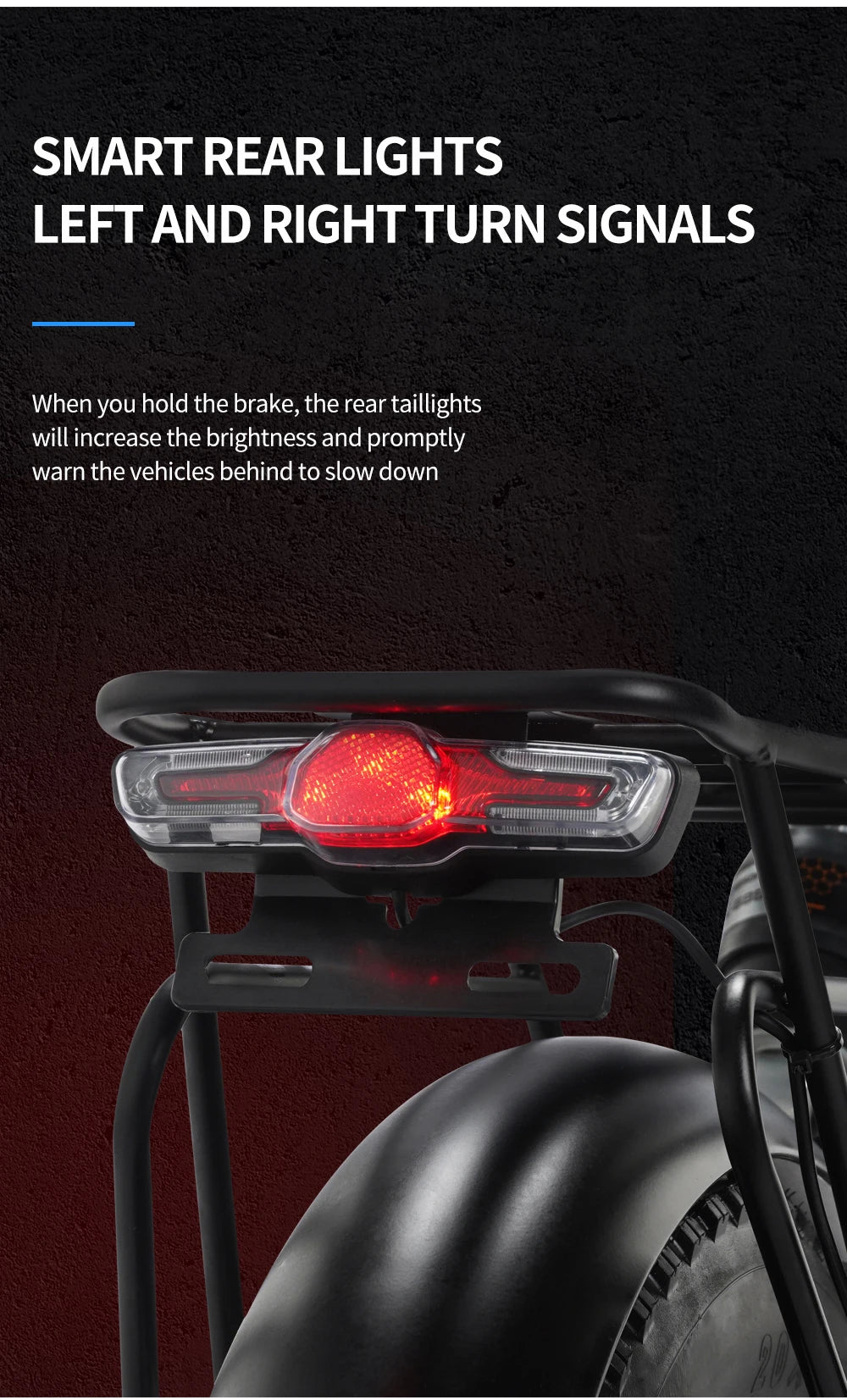 Foldable 1000W Fat Tire Ebike - Ridstar 48V 15AH Mountain E-Bike