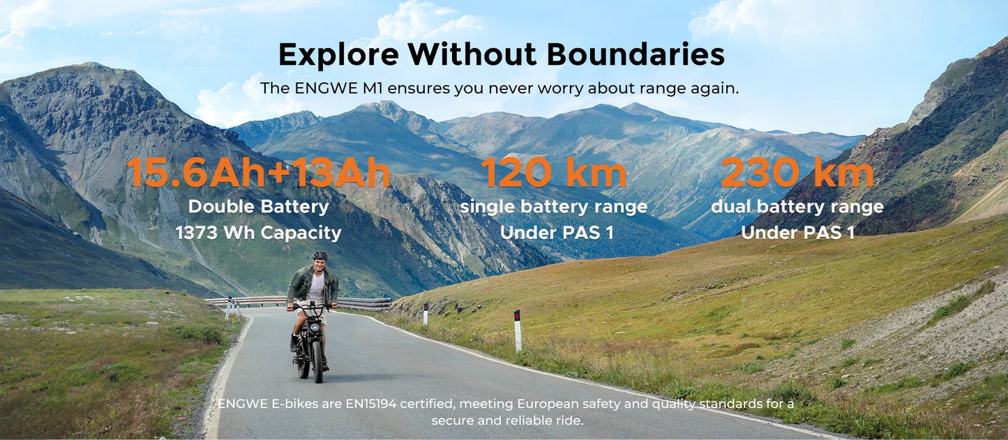 ENGWE M1 Adult Electric Bicycle 250W 48V Dual Battery