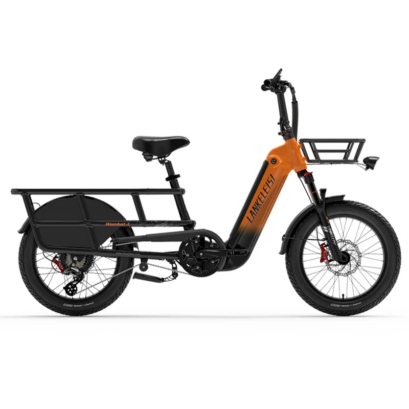 Lankeleisi Wombat-1 1000W E Cargo Bike – The Ultimate All-Terrain Electric Bike