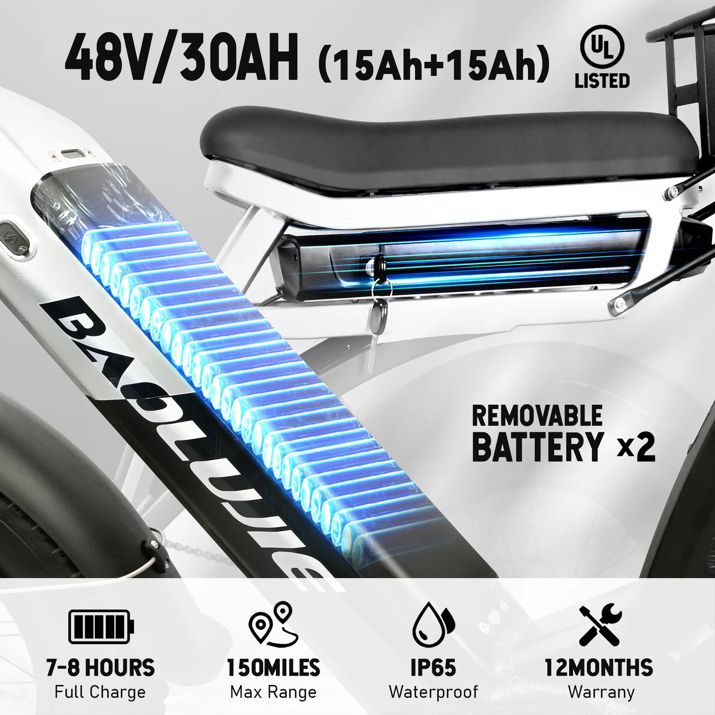 2000W Cargo Electric Bike for Adults | Long Range Dual Battery E-Bike