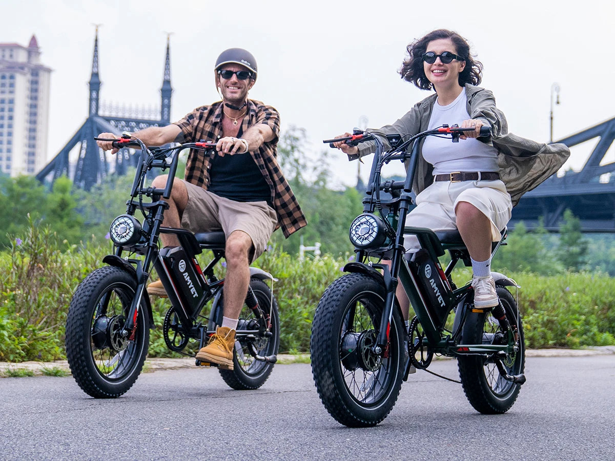 Electric Bike 2000W Dual Motor