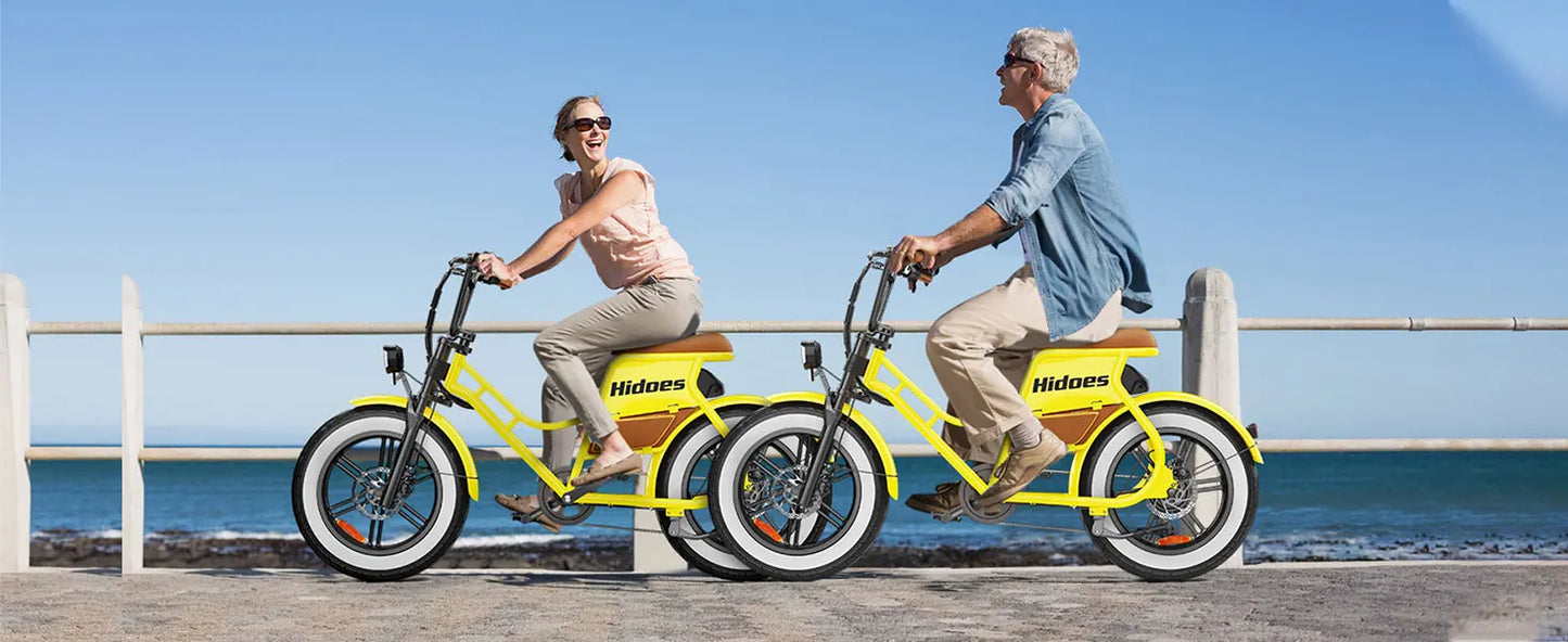 Hidoes C8 700W Adult Electric Bike – 25MPH, 55+ Mile Range