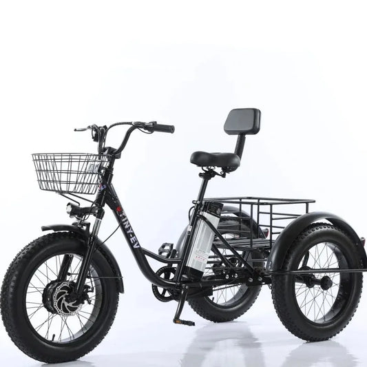 Fat Tire Electric Cargo Bike