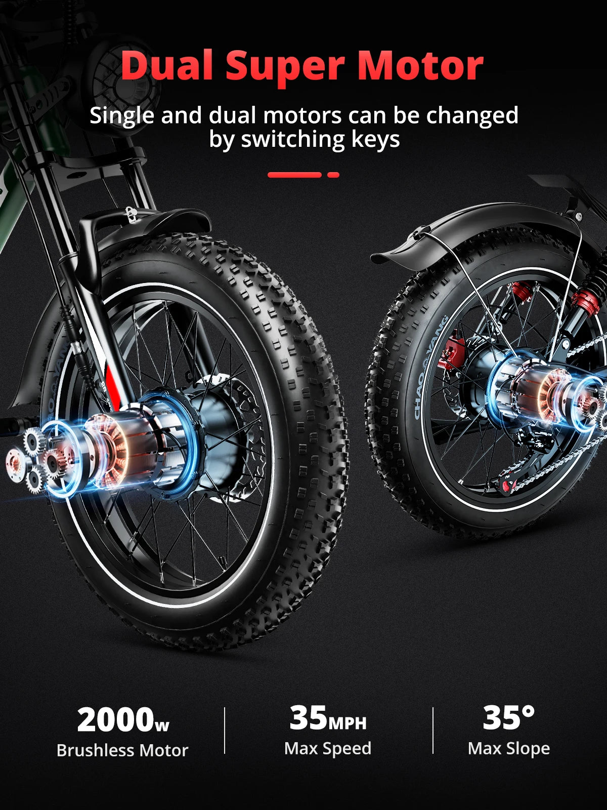  Electric Bike 2000W Dual Motor 