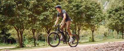 M10 Electric Bike Adult 500W