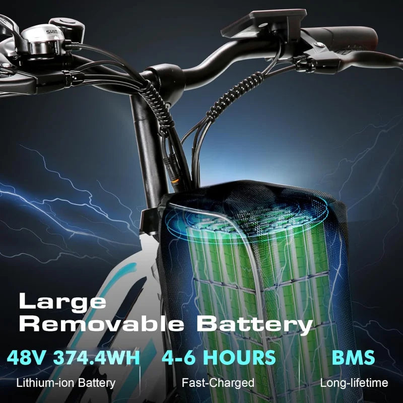 QVivi Electric Bike for Adults with 750W Peak Motor
