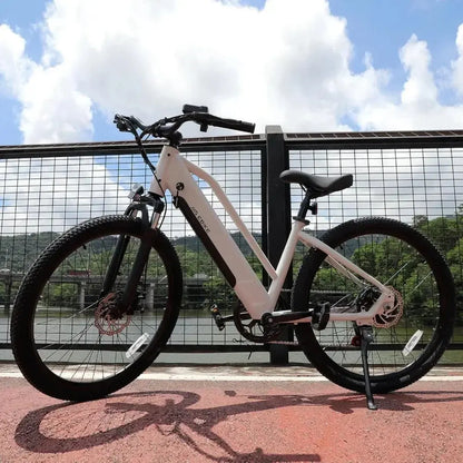 Explore the perfect combination of performance, comfort, and reliability. Order your 500W Electric Bike today and redefine your commute!