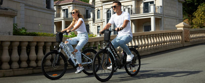 QVivi Electric Bike for Adults with 750W Peak Motor My Store