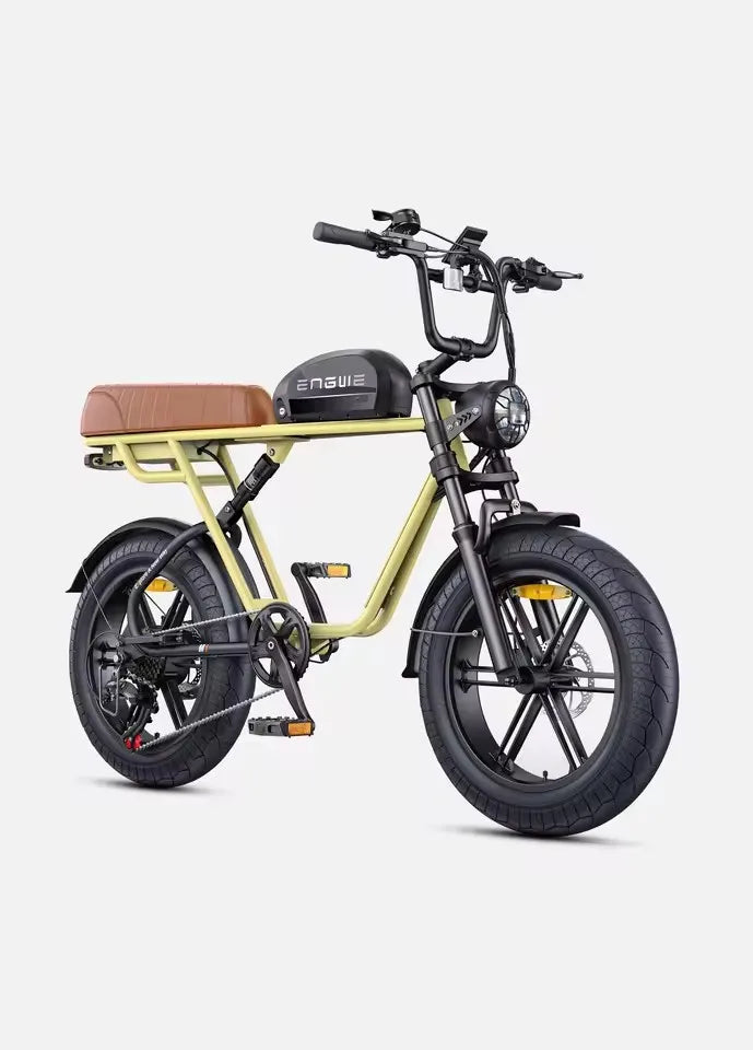 ENGWE M1 Adult Electric Bicycle 250W 48V Dual Battery