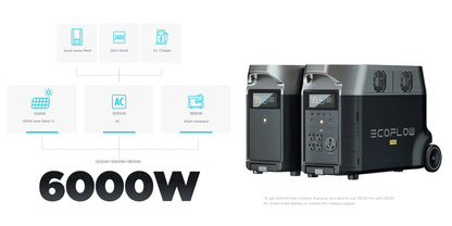 EcoFlow-DELTA Pro: Smart Portable Battery Pack