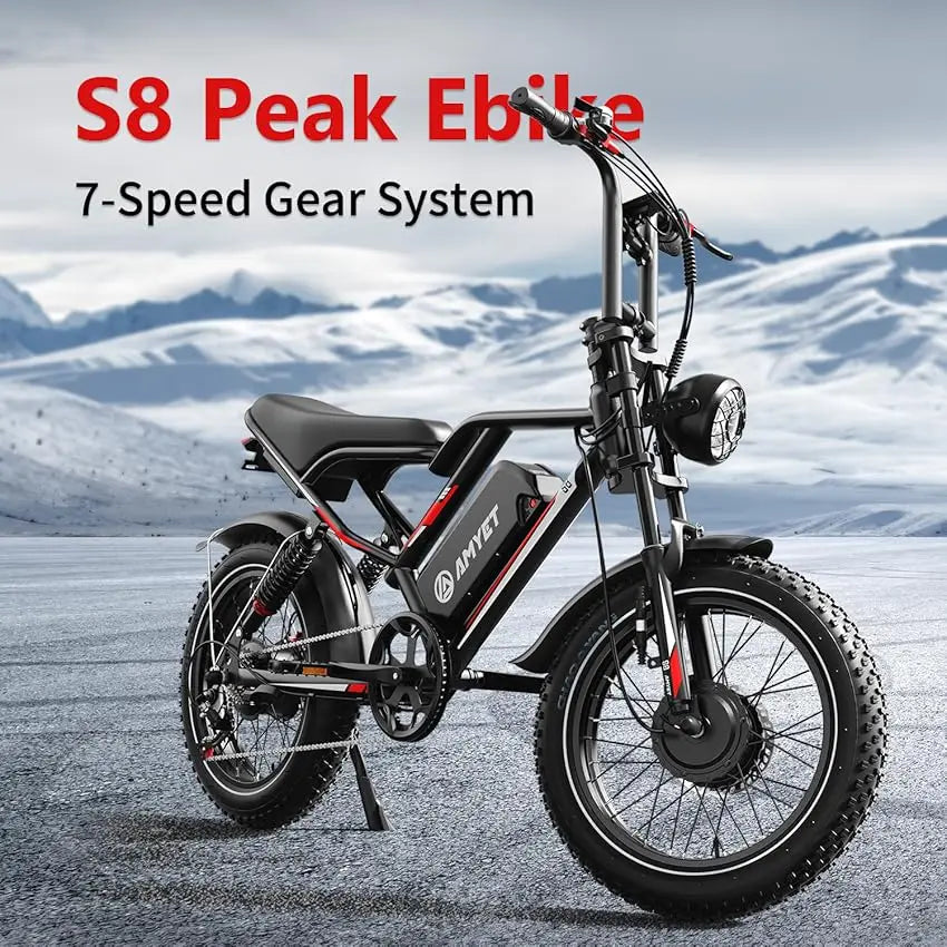 Electric Bike 2000W Dual Motor 
