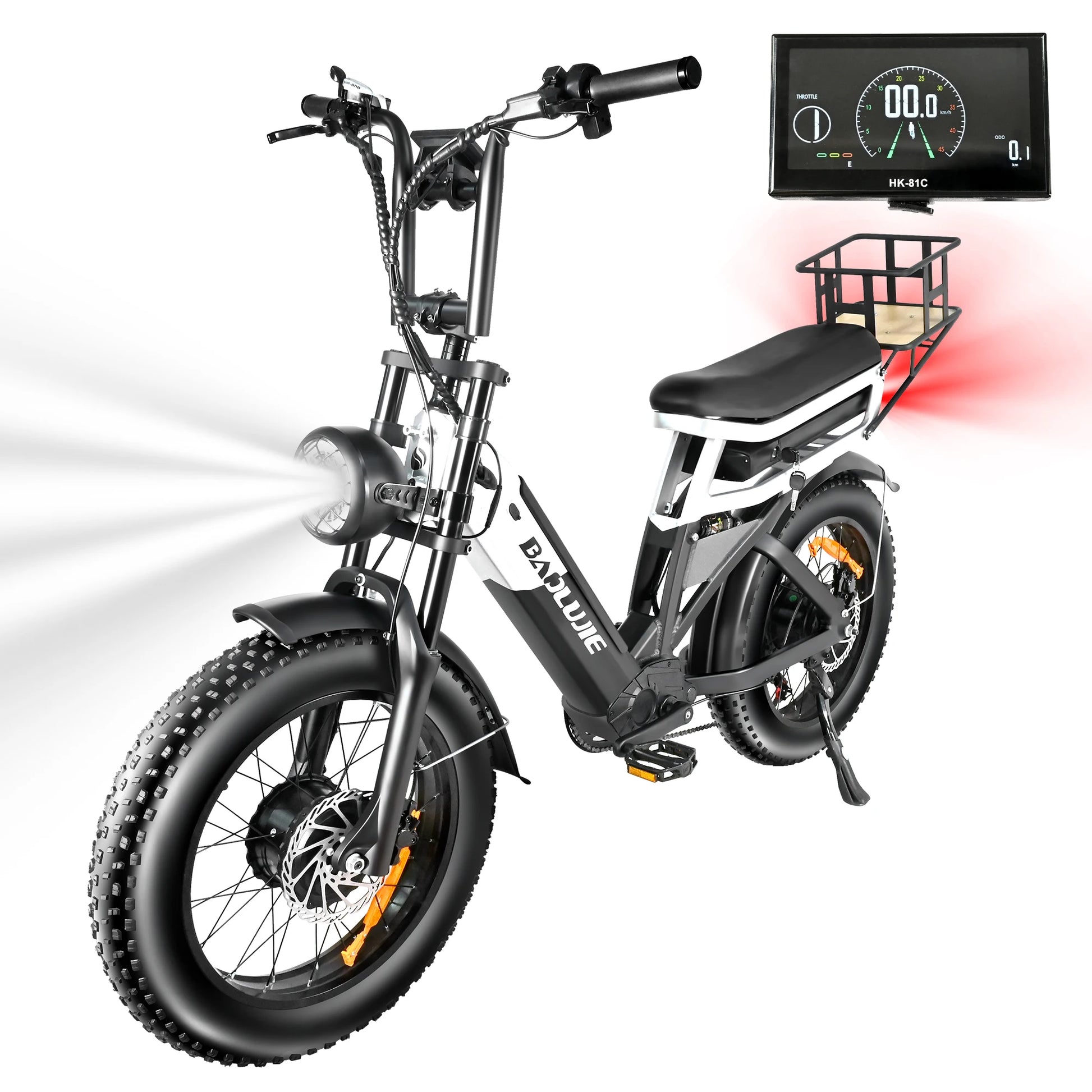 2000W Cargo Electric Bike for Adults | Long Range Dual Battery E-Bike