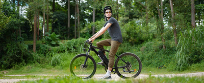 M10 Electric Bike Adult 500W