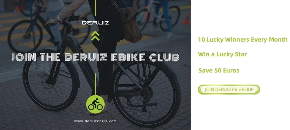 New Electric Bike: DERUIZ Quartz 48V 250W Motor My Store