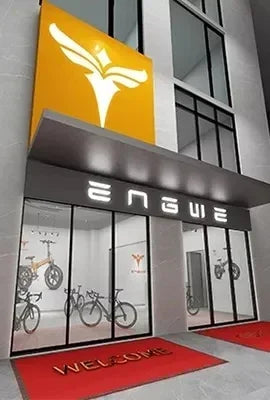 Engwe LE20 250W Electric Cargo Bike | Dual Battery 38.4Ah
