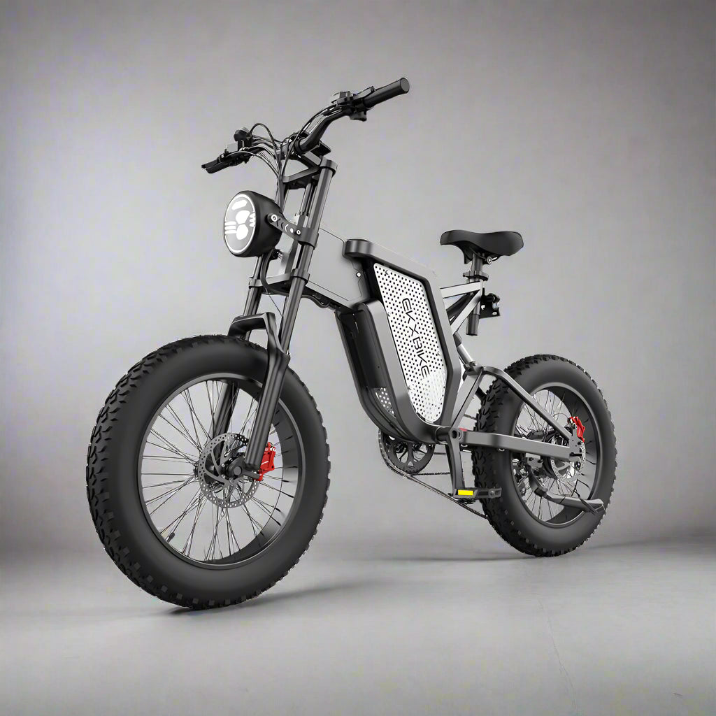 EKX X20 Electric Bike: The Ultimate Mountain and Road Adventure Machine