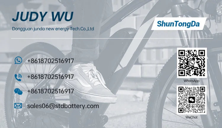 Ebike Lithium Battery 48V for 500W–1200W Motors | Fast Charger