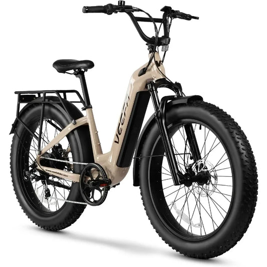 750W/Peak 1000W Motor Fat Tire Mountain E-Bike
