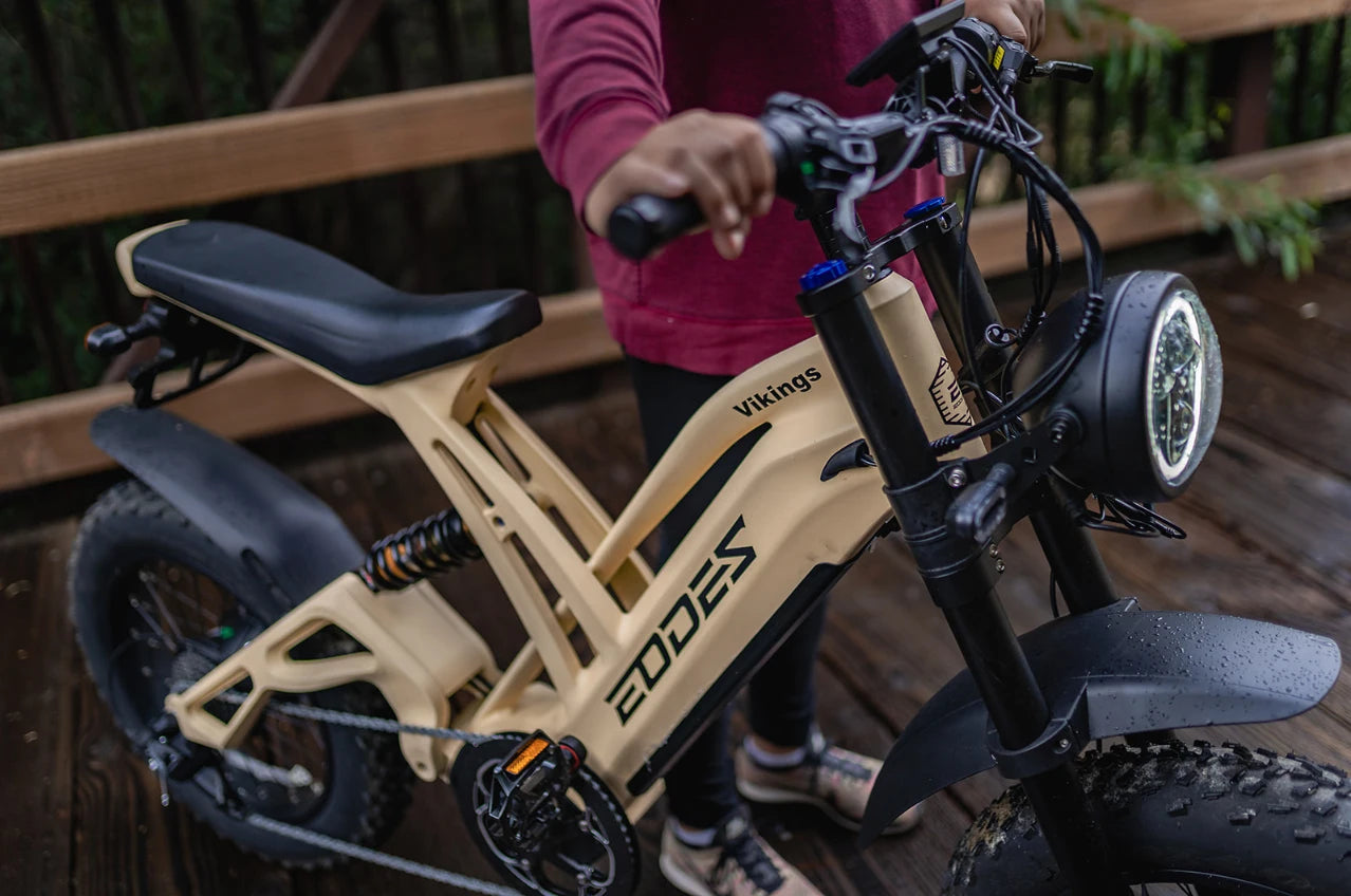 1000W Mountain Adult Electric Bike | Dual Disc Off-Road Power
