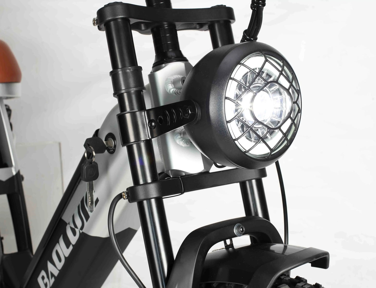 BLJ 2000W Dual Motor Electric Bike for Adults | Free Shipping
