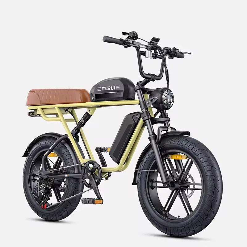 ENGWE M1 Adult Electric Bicycle 250W 48V Dual Battery