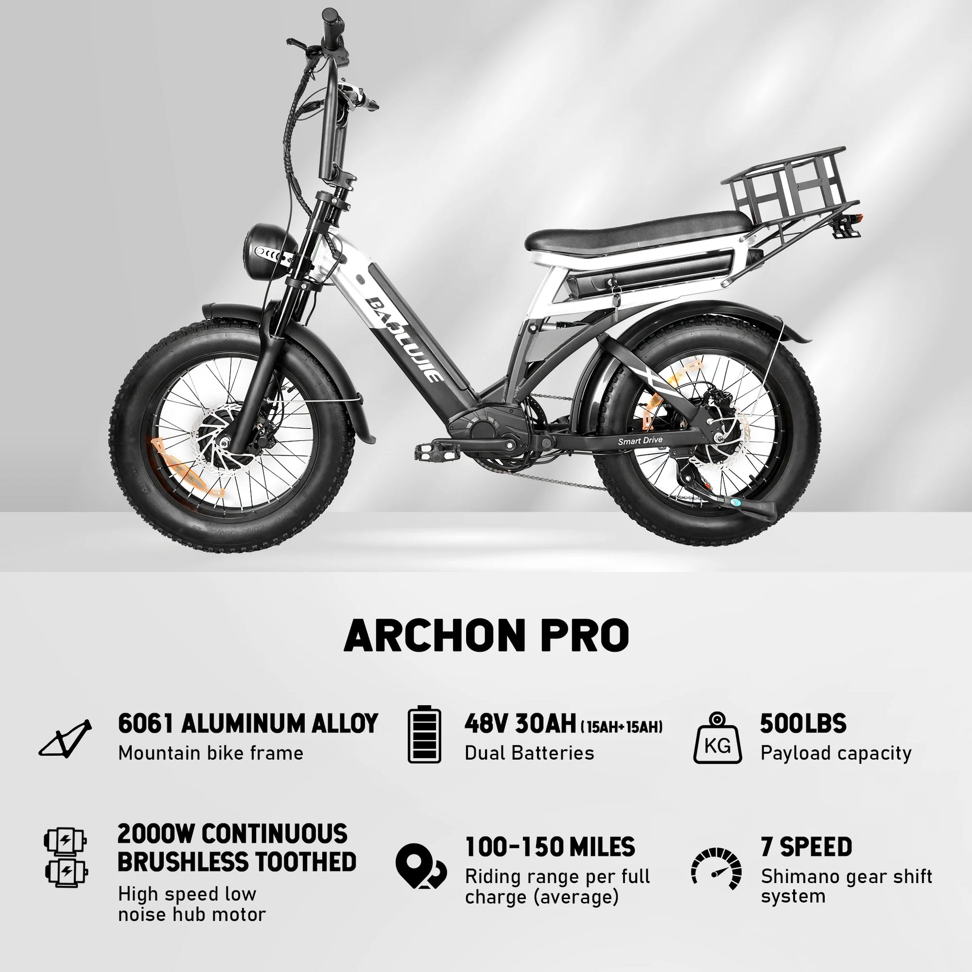2000W Cargo Electric Bike for Adults | Long Range Dual Battery E-Bike