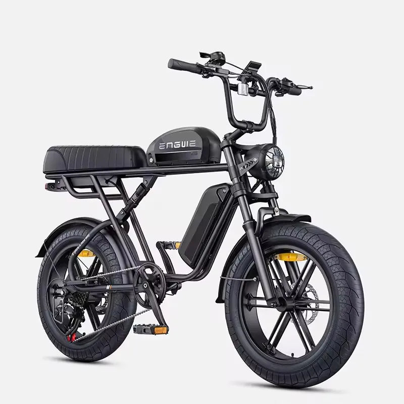ENGWE M1 Adult Electric Bicycle 250W 48V Dual Battery