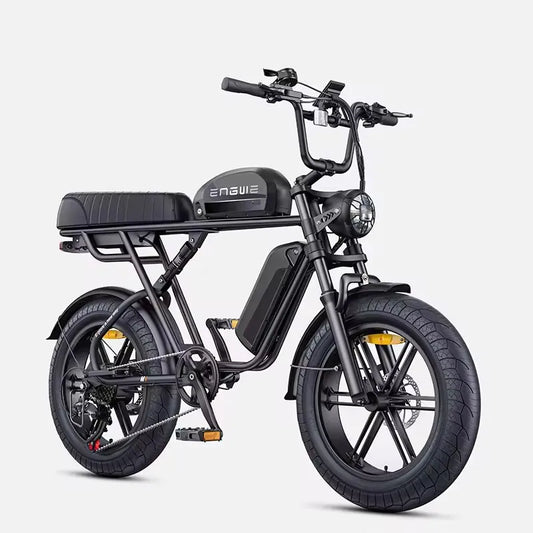 ENGWE M1 Adult Electric Bicycle 250W 48V Dual Battery